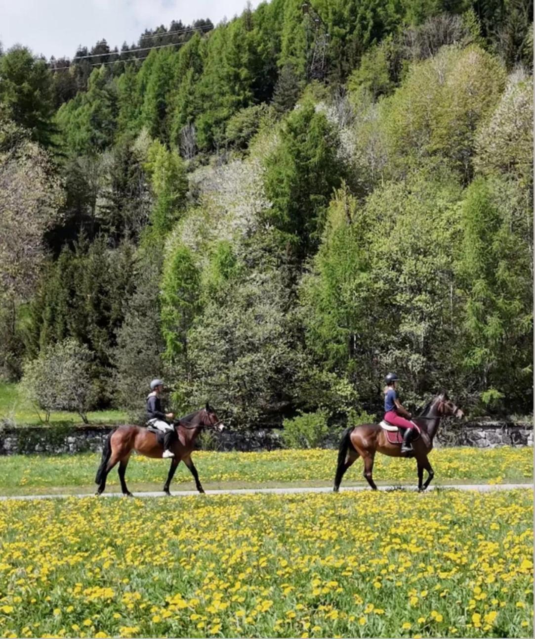 Sankt Moritz Suite Dış mekan fotoğraf